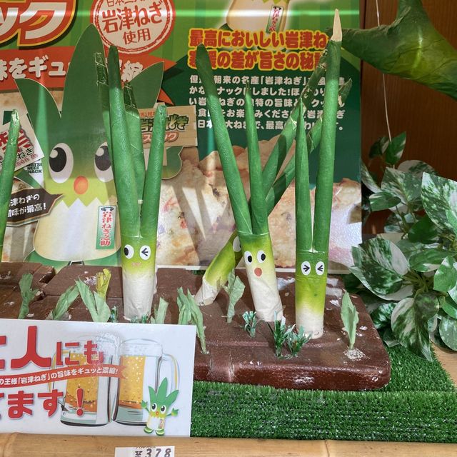 兵庫県冬場！道の駅フレッシュ朝来は「甘い！長い！太い！幻の岩津ねぎ」推しがすごすぎる