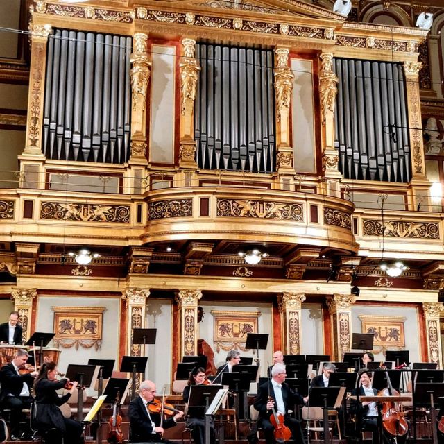 Wonderful hours in the Musikverein, Vienna 