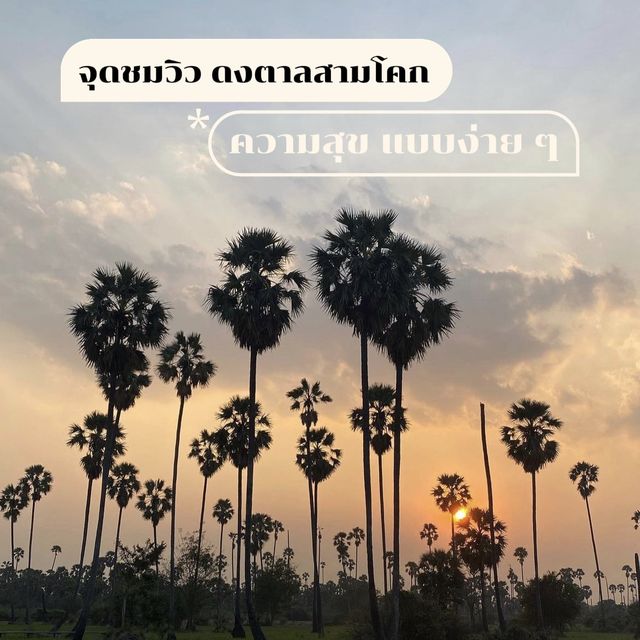 แลนด์มาร์คแห่งใหม่ของ จ.ปทุมธานี 🌴🌅
