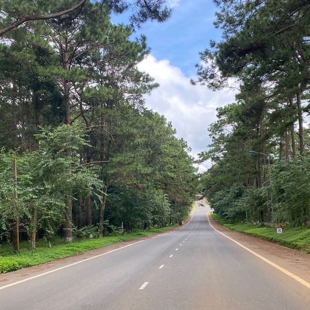 A Journey to Măng Đen with My Soul Mate
