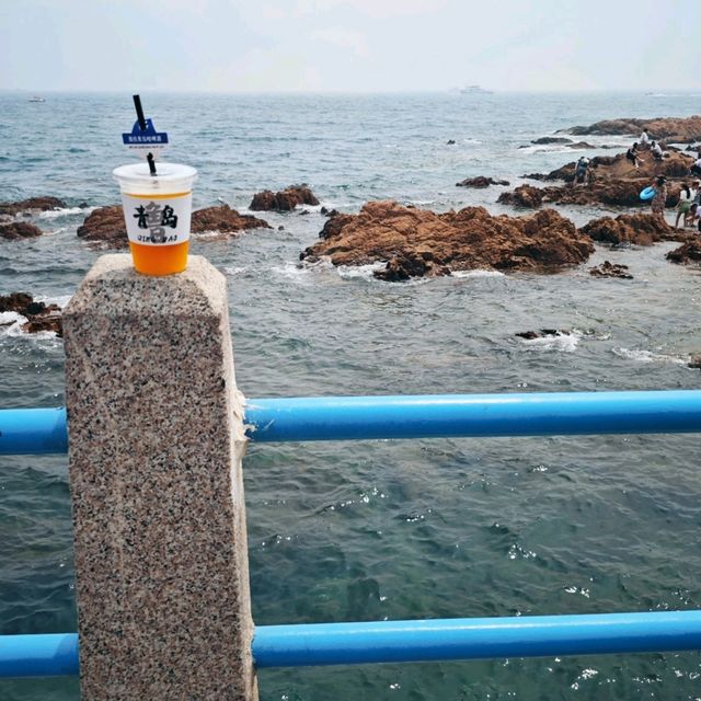 趕海季節小攻略: 小青島 趕海季節小攻略: 小青島