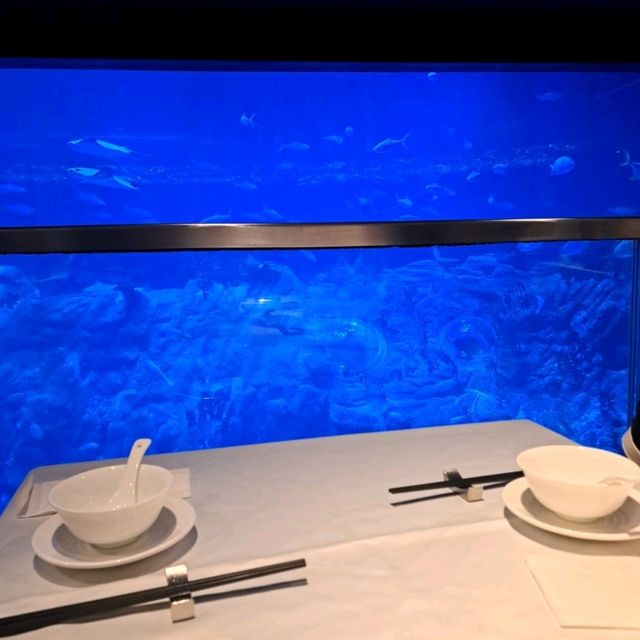 水族館主題高級餐廳🐟🐠邊食邊睇魚😍午餐美食分享👍