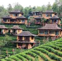 A Chinese Villiage hidden in Thailand