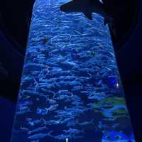 全新動物展館「樹懶與好友」