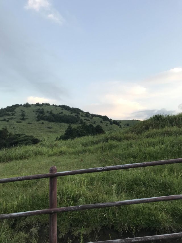 제주 노을맛집 용눈이오름🌳⛰️