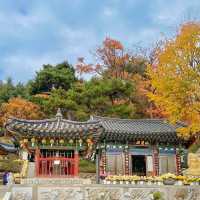 Fortune paper at Cheonggyesan Temple 