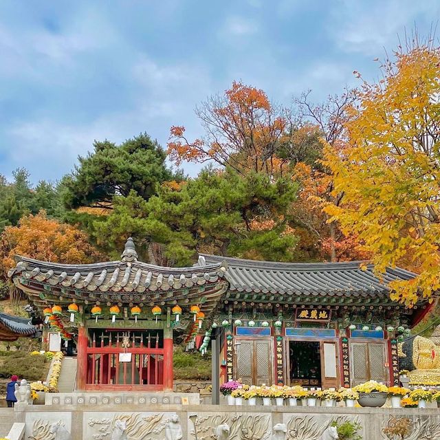 Fortune paper at Cheonggyesan Temple 