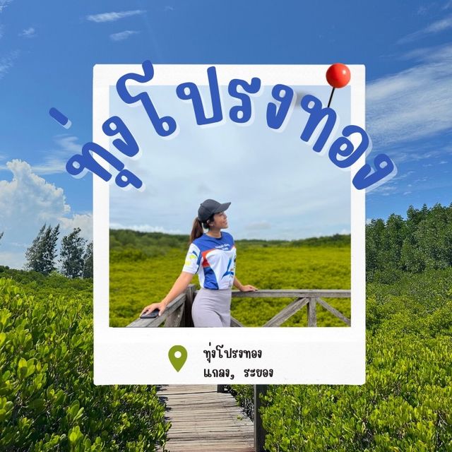 ทุ่งโปรงทอง ปอดของชาวแกลง