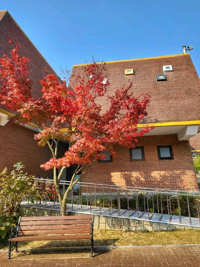 단풍구경도 하고 역사관람도 하는 강릉관광코스🍂
