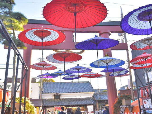 日本最古の菊まつり 笠間稲荷神社