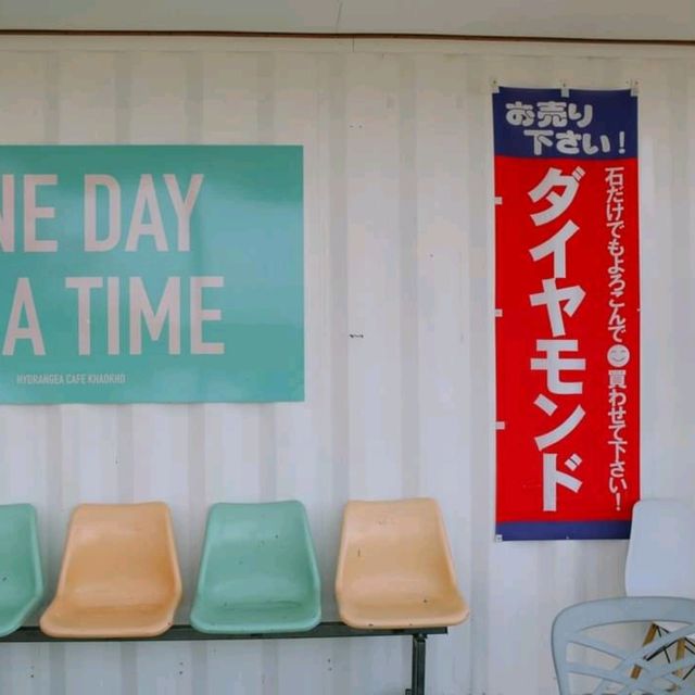 ไฮเดรนเยีย คาเฟ่ เขาค้อ - Hydrangea Cafe 