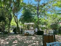 Wine at Sababay Winery 