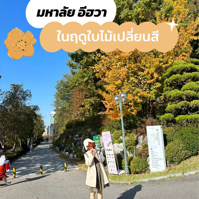 มหาลัย อีฮวา🍂🍁 ในฤดูใบไม้เปลี่ยนสี