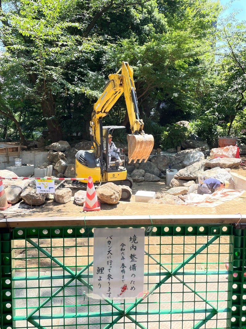 東京都/愛宕神社】2023年行ってよかった！東京の神社② | Trip