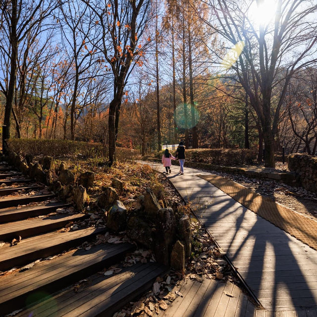 Sangso-dong Forest Bath in Winter Season 