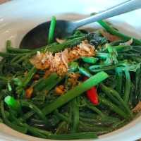 ไปทานปลาเทราต์ที่ร้านค้าสวัสดิการโครงการหลวง