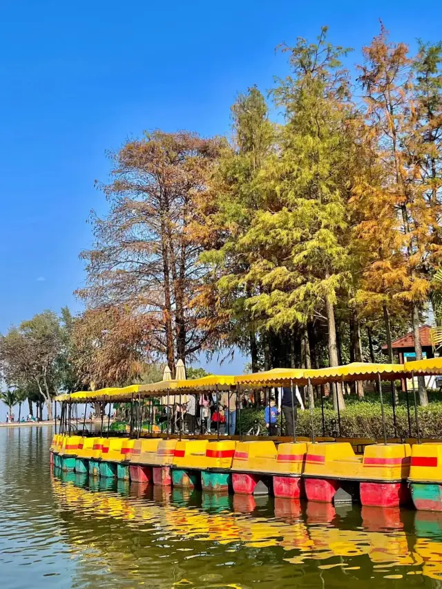 都市寧靜，珠海海濱公園的自然悠閒之旅