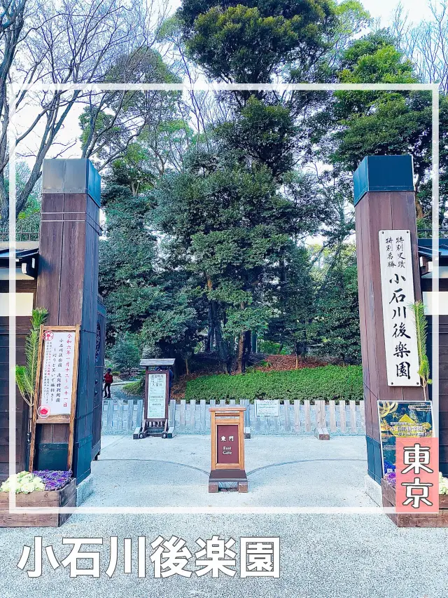 【東京都/小石川後楽園】文京区の美しき庭園