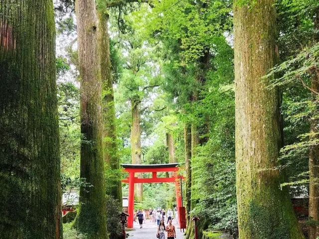 Hakone Shrine