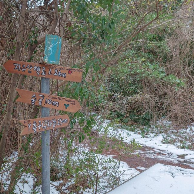 ๊ฒจ์ธ์ ์ด๋ก์ด๋ก ์ฒ, ํ์์ฒ ๊ฒจ์ธ์ ์ด๋ก์ด๋ก ์ฒ, ํ์์ฒ