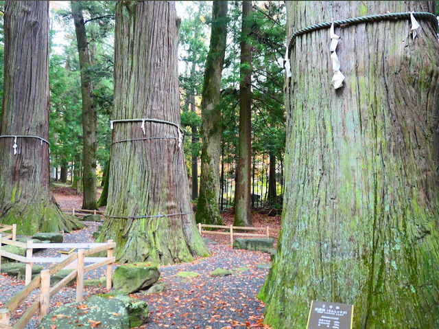 Kawaguchi Asama Shrine 