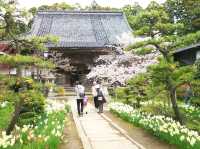 Matsumaejō Castle Ruins