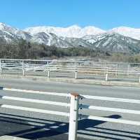 Hakuba Ohashi Bridge, Nagano 🇯🇵