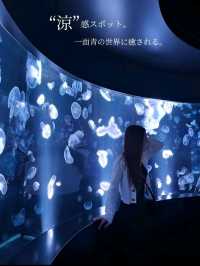【京都/涼感スポット】暑い季節🥵に、目も身体も涼まる❄️スポットへお出かけしませんか？！🤍