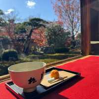 【京都】紅葉・青もみじ🍃想像を超えるスケールの自然美"東福寺"