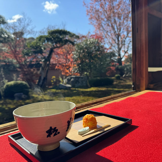 【京都】紅葉・青もみじ🍃想像を超えるスケールの自然美"東福寺"