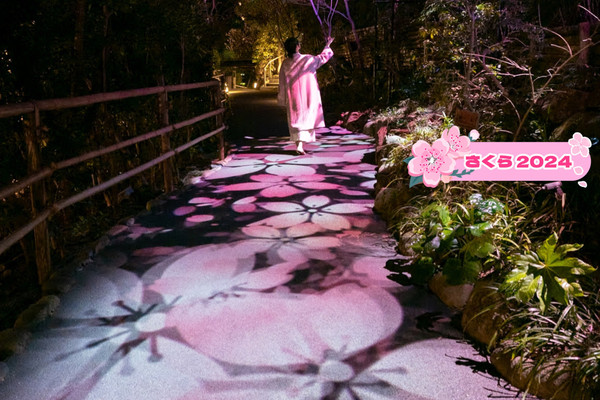 桜の花が散る頃に - ゆらり堂 - BOOTH