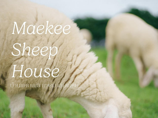 Maekee Sheep House บ้านแกะแม่ขิ 