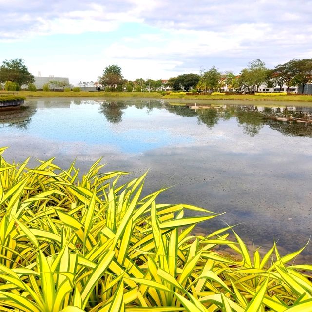 🏞️ 🐟Park with Crystal Clear Waters🐠 🏞️