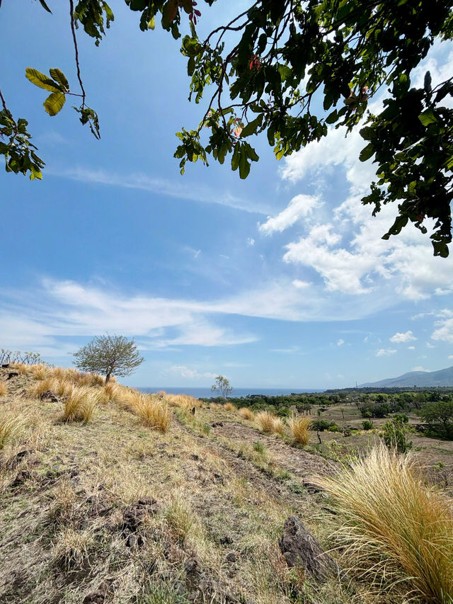 East Bali’s Swaying Palms and Sparkling Seas