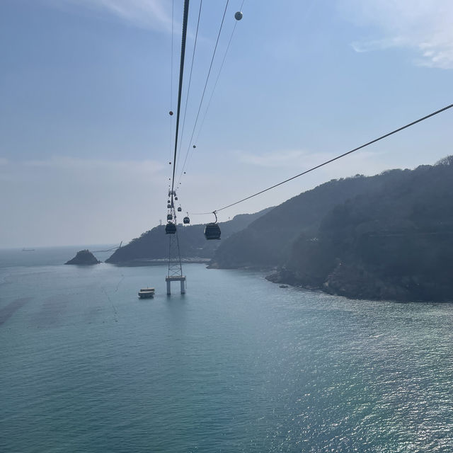 부산 송도 해상케이블카타고 가서 구름산책로 걷기 