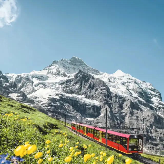 Best Way up to Jungfraujoch @ Switzerland 🇨🇭