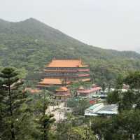 Infinite Serenity: Wisdom Path's Tranquil