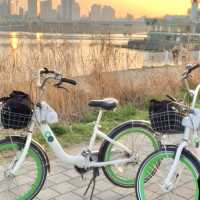 봄에는 자전거타며 서울여행🚲