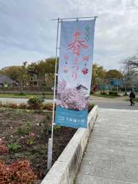 【2024年桜】満開前日の森ノ宮駅側