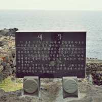 🌿 중엄리새물, 제주의 오래된 생활 터전