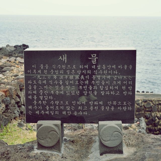 🌿 중엄리새물, 제주의 오래된 생활 터전