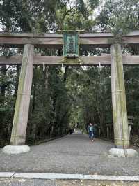 【奈良観光】日本最古のお寺へ⛩ 