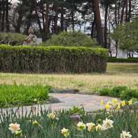 봄에 방문해야 하는 허균허난설현 기념공원