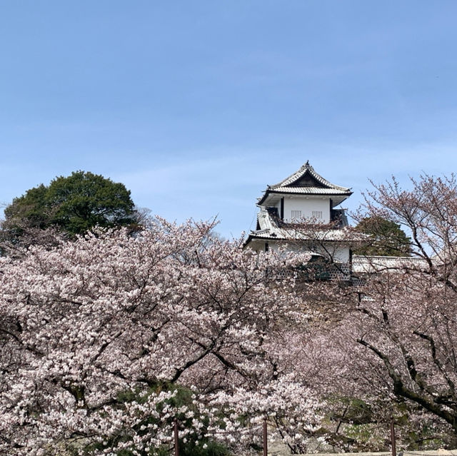 Spring in Kanazawa