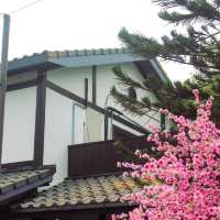 Little Japan in Thailand 
