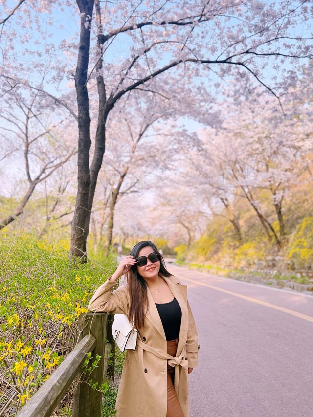 Namsan Park in South Korea 🇰🇷🌸