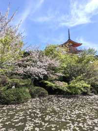 Koyasunoto Pagoda เจดีย์โคยาสุ จ.เกียวโต