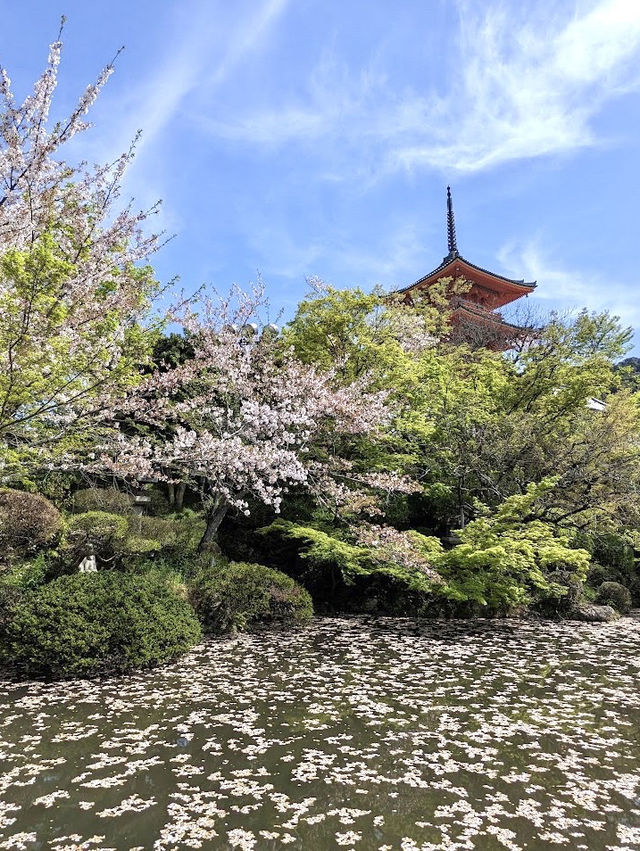 Koyasunoto Pagoda เจดีย์โคยาสุ จ.เกียวโต