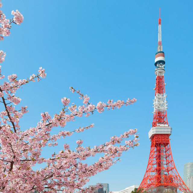 Tokyo Tower: the Ultimate Guide to Iconic Views! 🗼