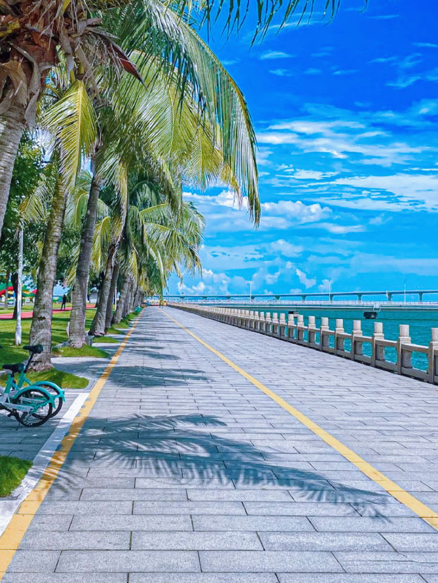 珠海電動車遊覽海濱情侶南路